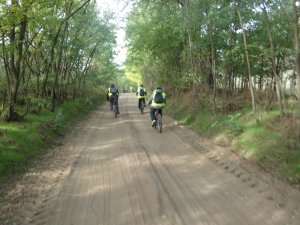 A képen a kerékpártúrán résztevők áthatóak amint egy földúton tekernek a fák között.
