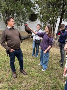 A kép a solymász bemutató egyik pillanatát örökíti meg, amikor is a sólyom az idomár kezén ült, és a tanulók egymás után megsimogathatták a madarat.