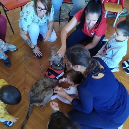 A képen a gyerekek megsimogatják a terápiás kutyát