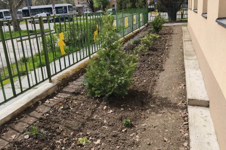 A képen a beültetett virágos kertben sorakoznak a virágzó és örökzöld dísznövények.